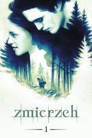 Zmierzch 2008