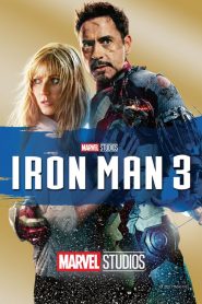 Iron Man 3 2013